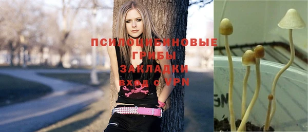 COCAINE Медногорск