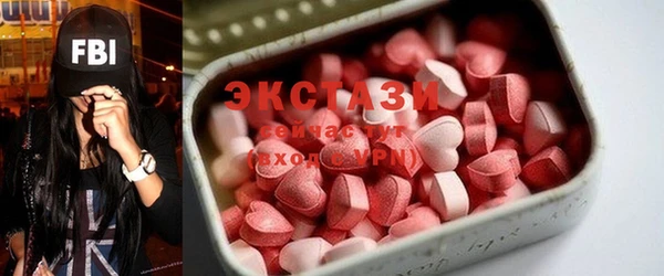 СК Дубна