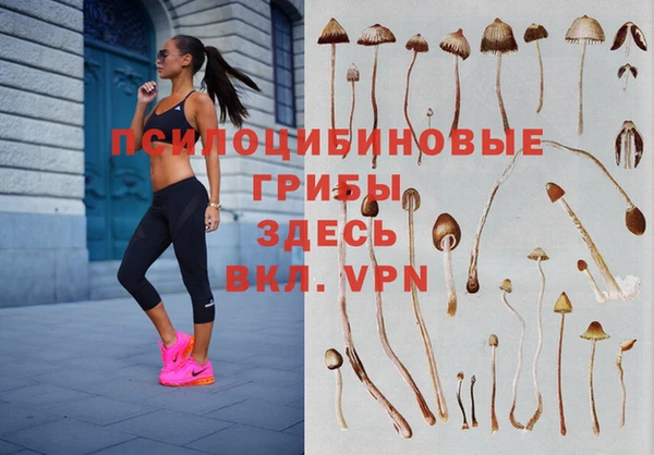 ПСИЛОЦИБИНОВЫЕ ГРИБЫ Мегион