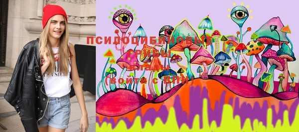 амфетамин Дубовка