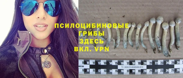 COCAINE Медногорск