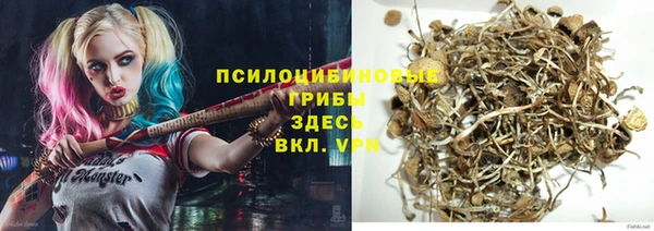 прущая мука Медвежьегорск
