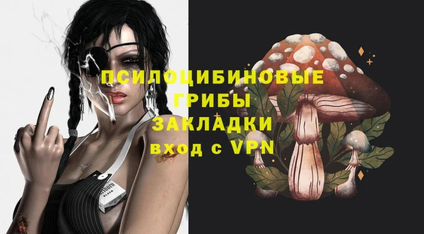 ПСИЛОЦИБИНОВЫЕ ГРИБЫ Мегион