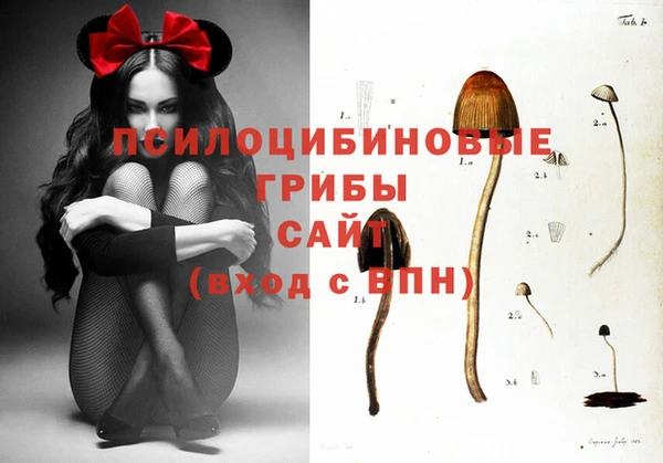 COCAINE Медногорск