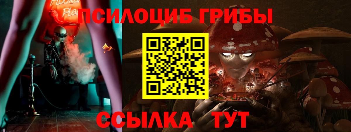 Псилоцибиновые грибы GOLDEN TEACHER  Вход с VPN  Нерюнгри 